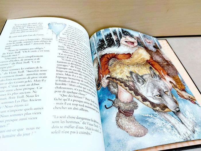 📚 Livre : Petit troll - photo numéro 3