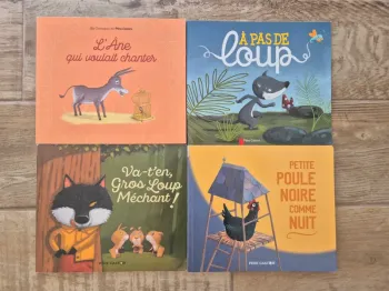 Lot de 4 livres Père Castor