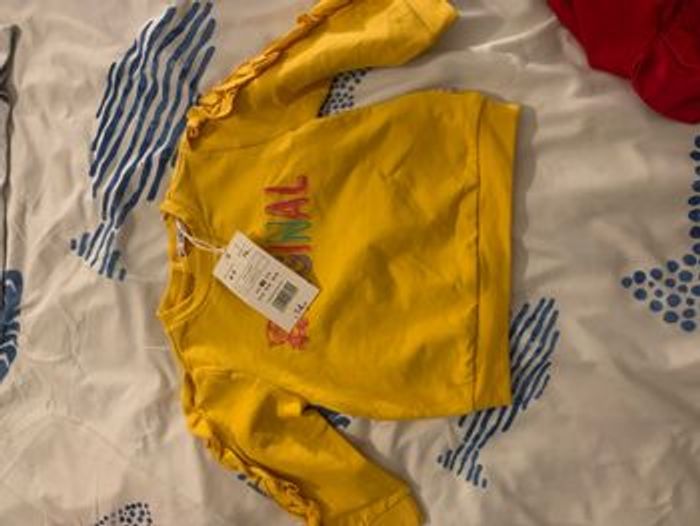 Lot de vêtements fille 6/9 - photo numéro 7