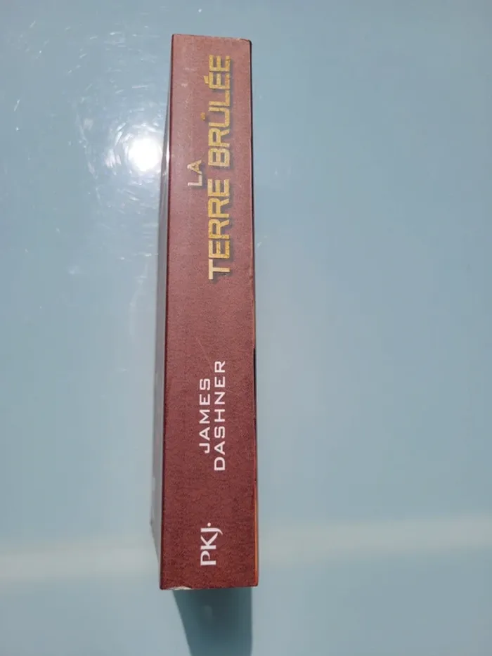 4 Premier romans grands formats de la saga Le Labyrinthe : Livres 1, 2, 3 et 4 - photo numéro 11
