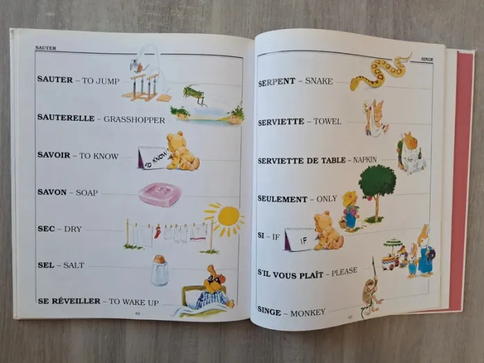 Dictionnaire enfant français - anglais illustré - photo numéro 3