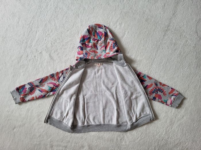 Veste - photo numéro 2