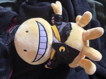 Peluche