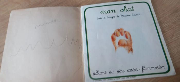 Livre Mon Chat - photo numéro 2