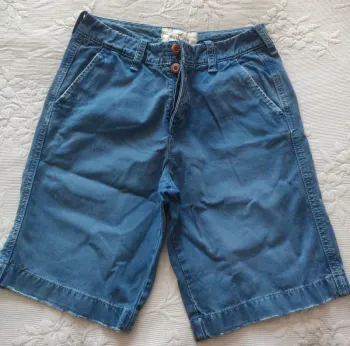 Bermuda Hollister