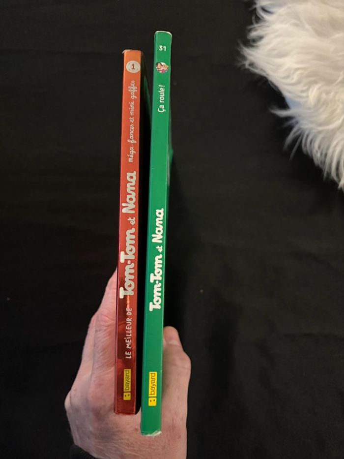 2 livres Tom Tom et Nana TB etat - photo numéro 3