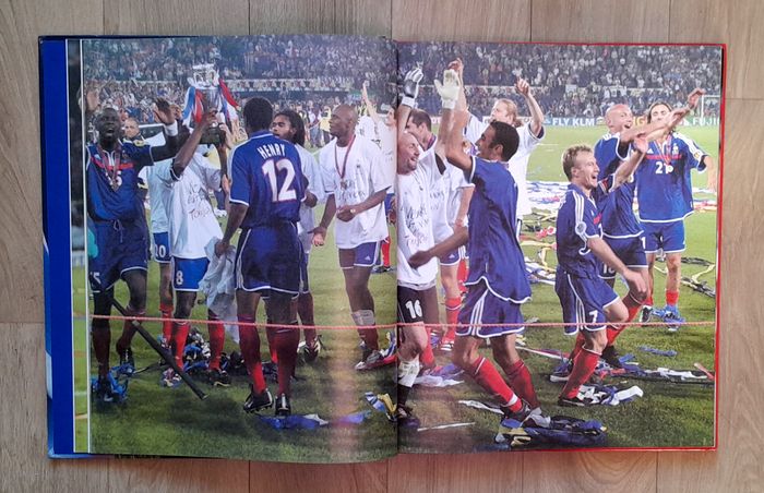 Championnat d'Europe des nations 2000 - merci les champions - Dominique Grimault - photo numéro 7