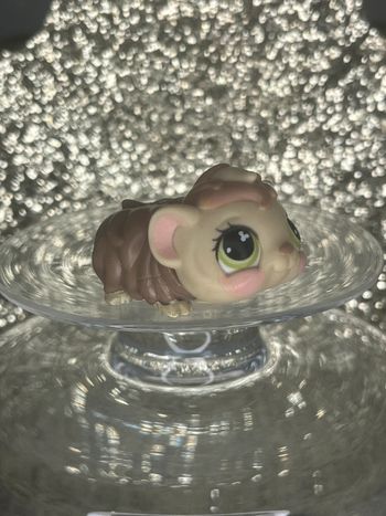 Littlest pet shop #494 cochon d’Inde
