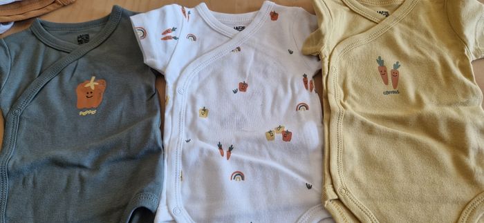 Lot de 3 bodies