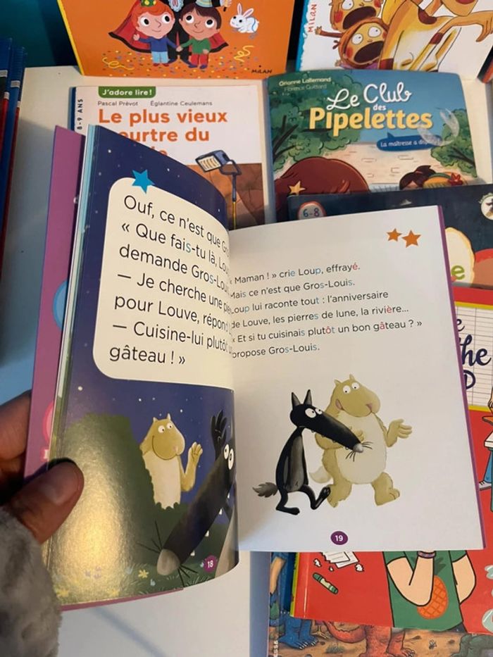 12 livres de première lecture CP /CE1 - photo numéro 4