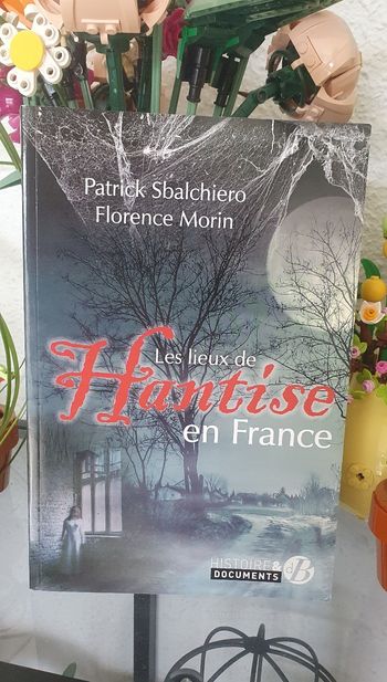 Livre "Les lieux de hantise en France"
