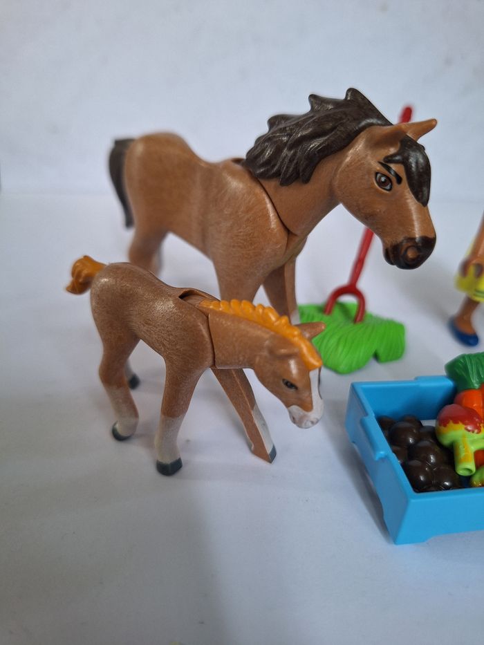 Figurines set de jeux playmobil spirit - photo numéro 2