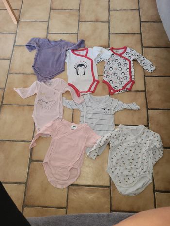 Lot 7 bodys fille 3 mois