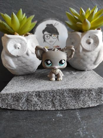 My Littlest Petshop LPS chien papillon 836 butterfly dog #geektradelpschien