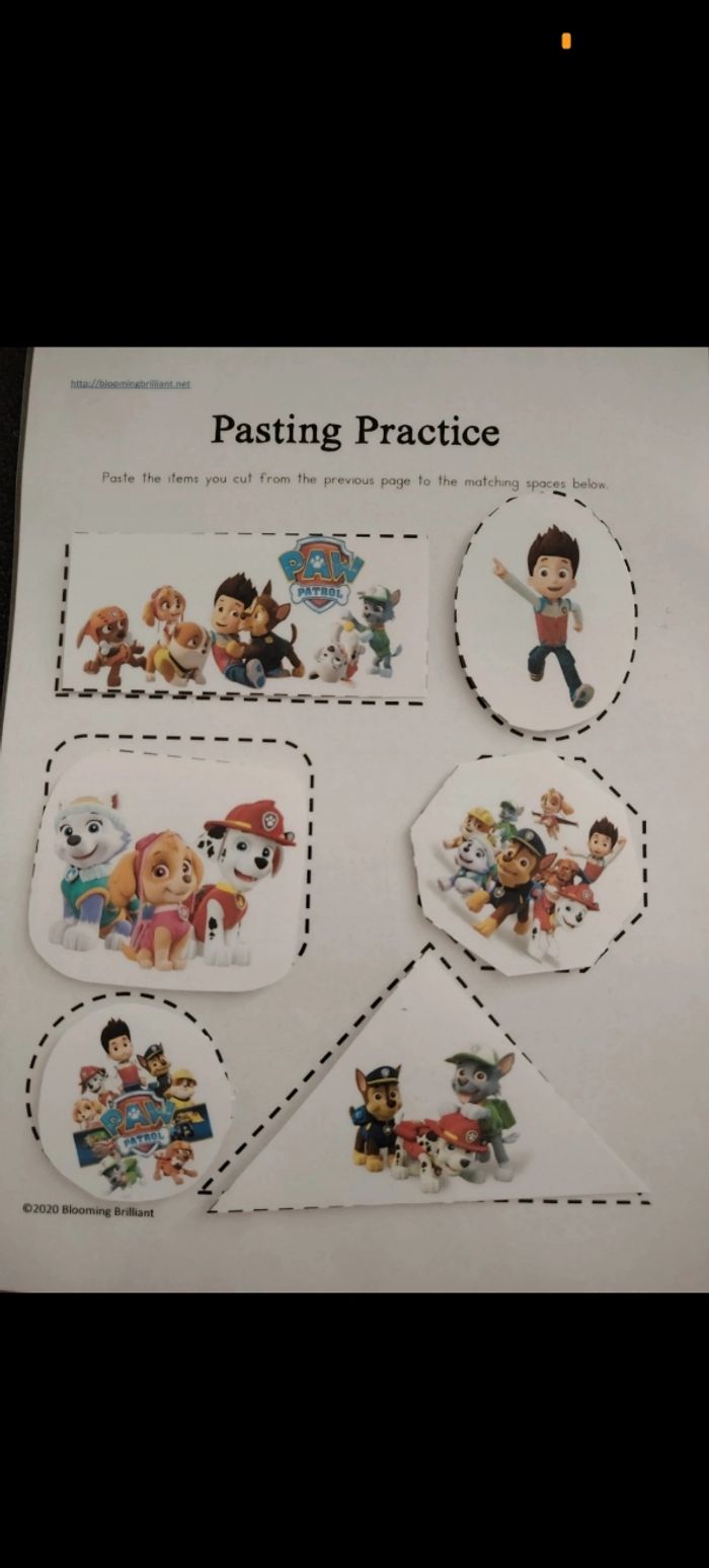 Fiche d'activité pat patrouille