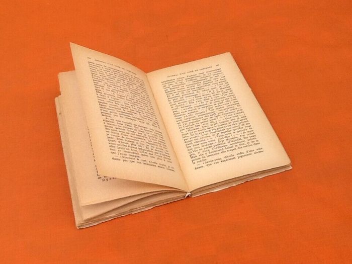 Georges Bernanos Journal d' un Curé de campagne (1951) - photo numéro 5