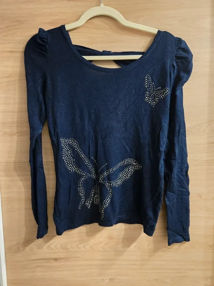 Petit pull papillon 🦋 strass !