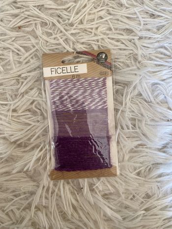 Ficelle gifi 6M violet