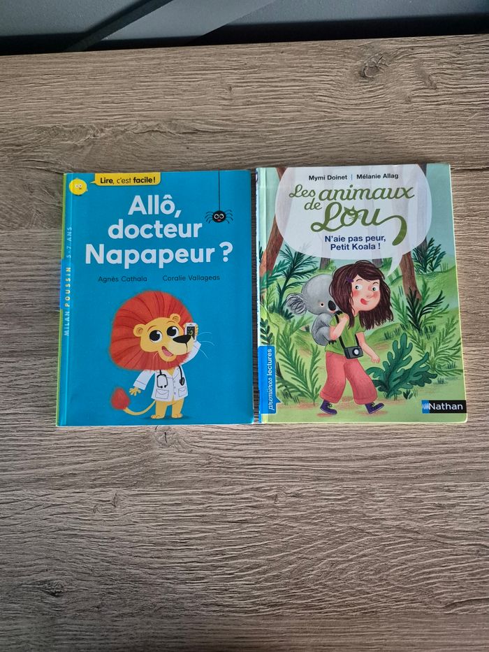 Lot de 2 livres de lecture CP