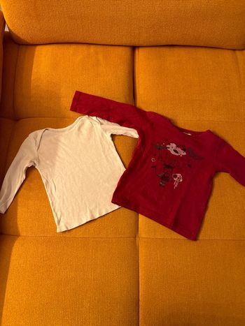Lot de 2 tee shirts manches longues 24 mois