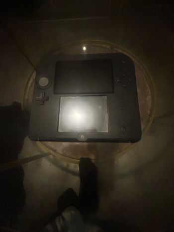 Nintendo 2DS