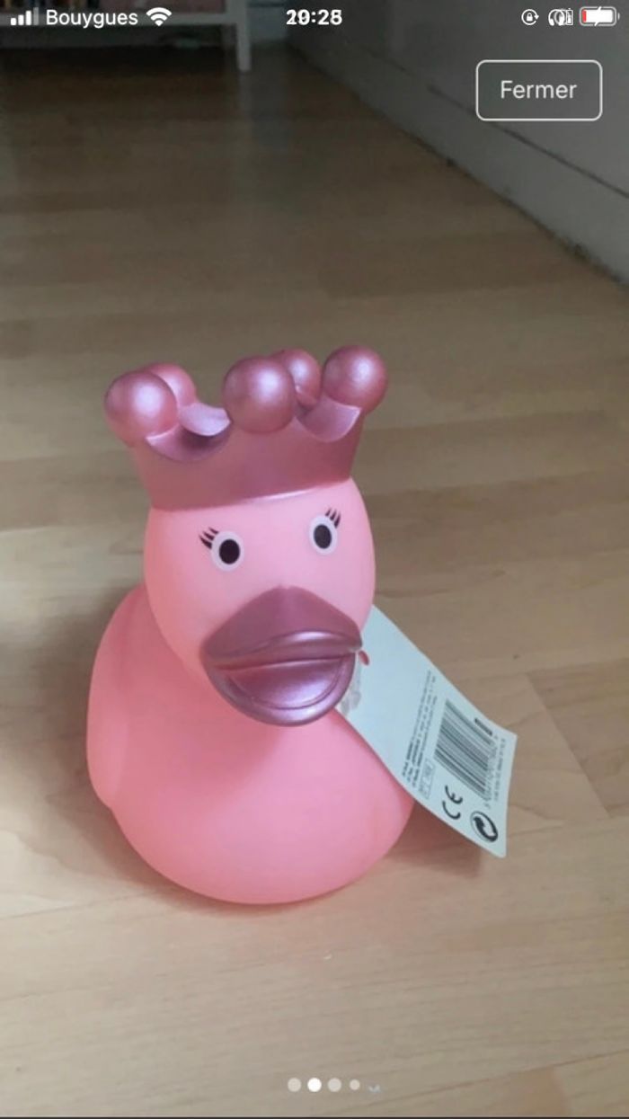 Canard de douche - photo numéro 2