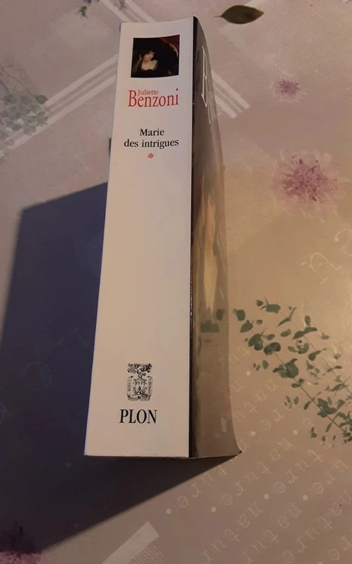 Marie des intrigues - photo numéro 2