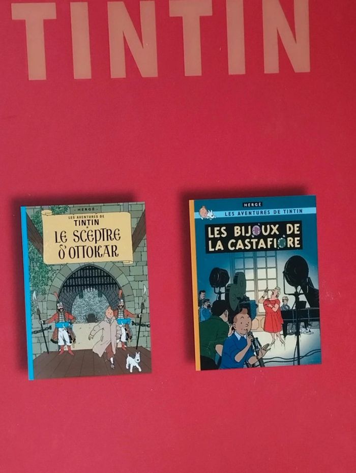 Les aventures de Tintin club France loisirs 2007 Casterman - photo numéro 2