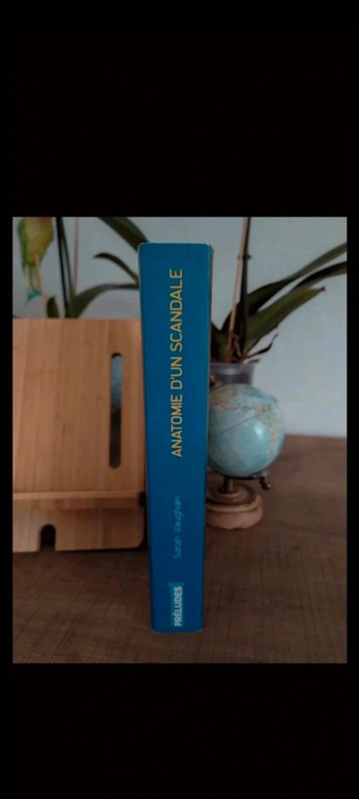 📚Anatomie d'un scandale de Sarah Vaughan - photo numéro 4