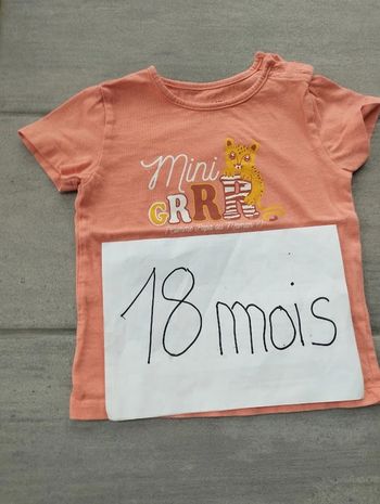 Lot n° 450 T-shirt manches courtes Gémo 18 mois