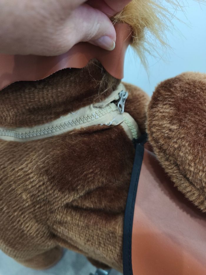 Ponycycle - photo numéro 5