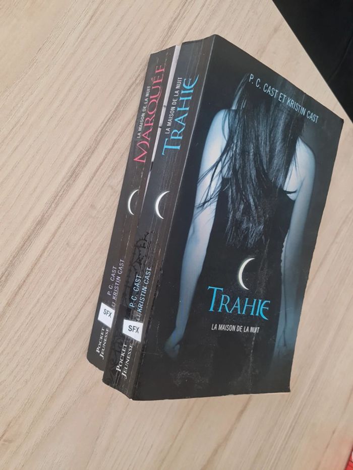 La maison de la nuit - tome 1 et 2 - kristin Cast - photo numéro 3