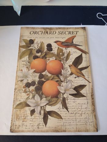 Joli lot de 10 grandes feuilles de papier pour scrapbooking