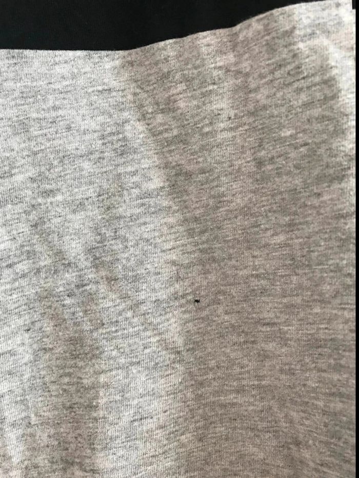 Tee-shirt - photo numéro 6