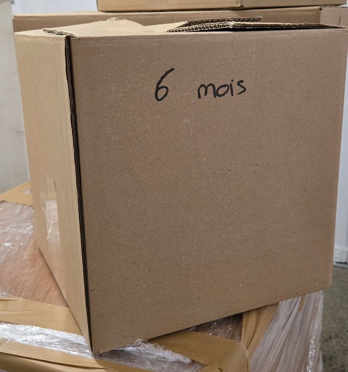 Lots de Vêtements Pour Fille - photo numéro 2