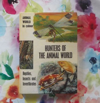Hunters of the animal world Reptiles, Insects and Invertibrates Animal World in Colour M. Burton