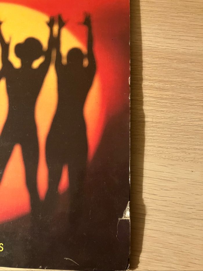 Vinyle 33 tours +grand poster-Boney M-Boonoonoonoos - photo numéro 9