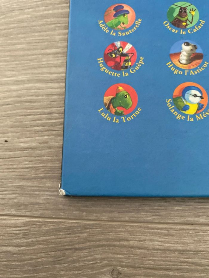 Juliette la rainette - photo numéro 4