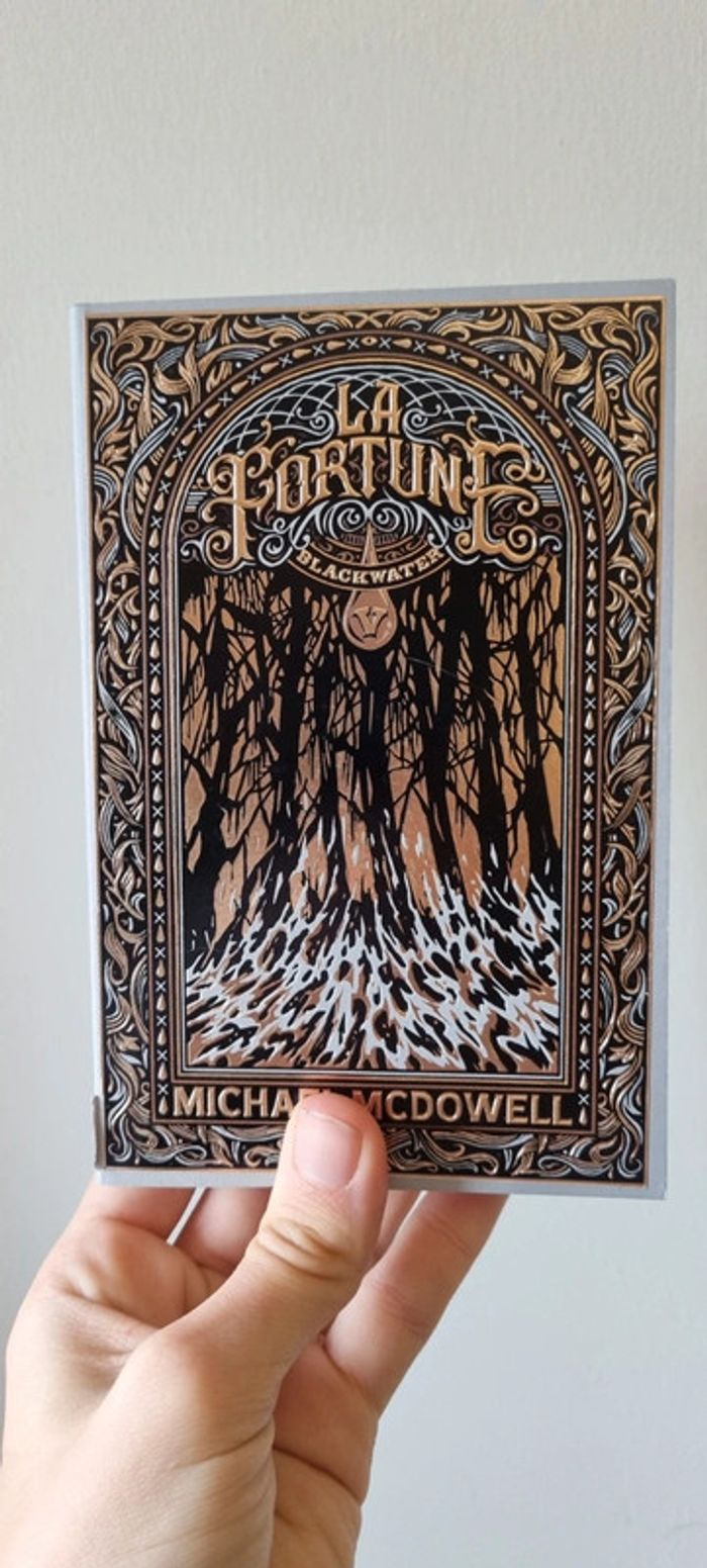 Coffret blackwater + cartes et marque page - photo numéro 14