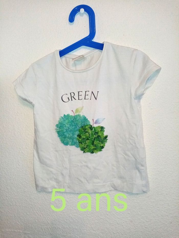 5 ans zara tee-shirts avec pommes en relief /Excellent état