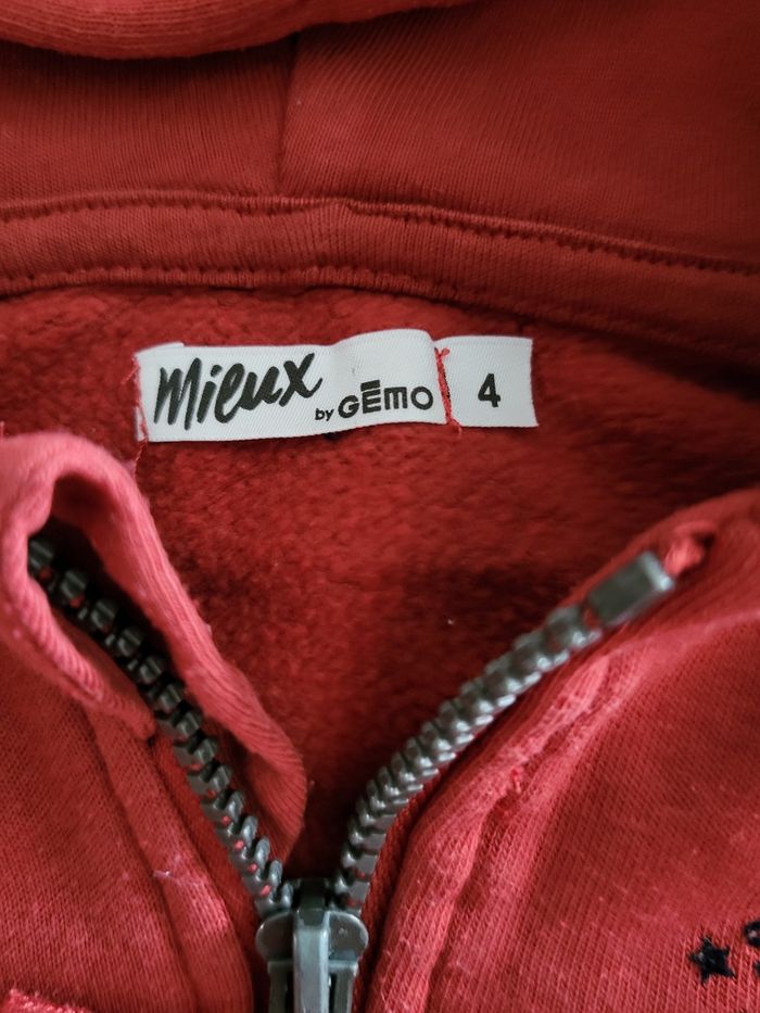 Sweat capuche garçon 👦 4 ans - photo numéro 3