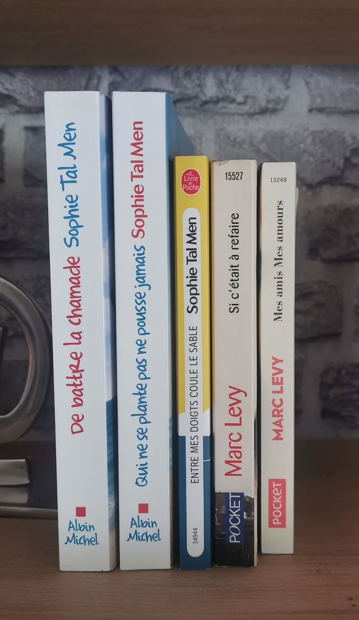 De battre la chamade, Qui ne se plante pas ne pousse jamais, Entre mes doigts coule le sable, Mes amis Mes amours , Si c'était à refaire - photo numéro 2