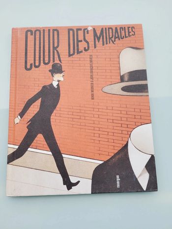 Livre Cour des Miracles éditions Rouergue
