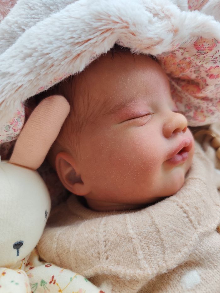 Poupée reborn  Primrose by Laura Lee Eagles - photo numéro 10