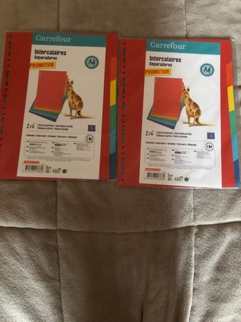Intercalaires A4 lot de 2 neufs Carrefour