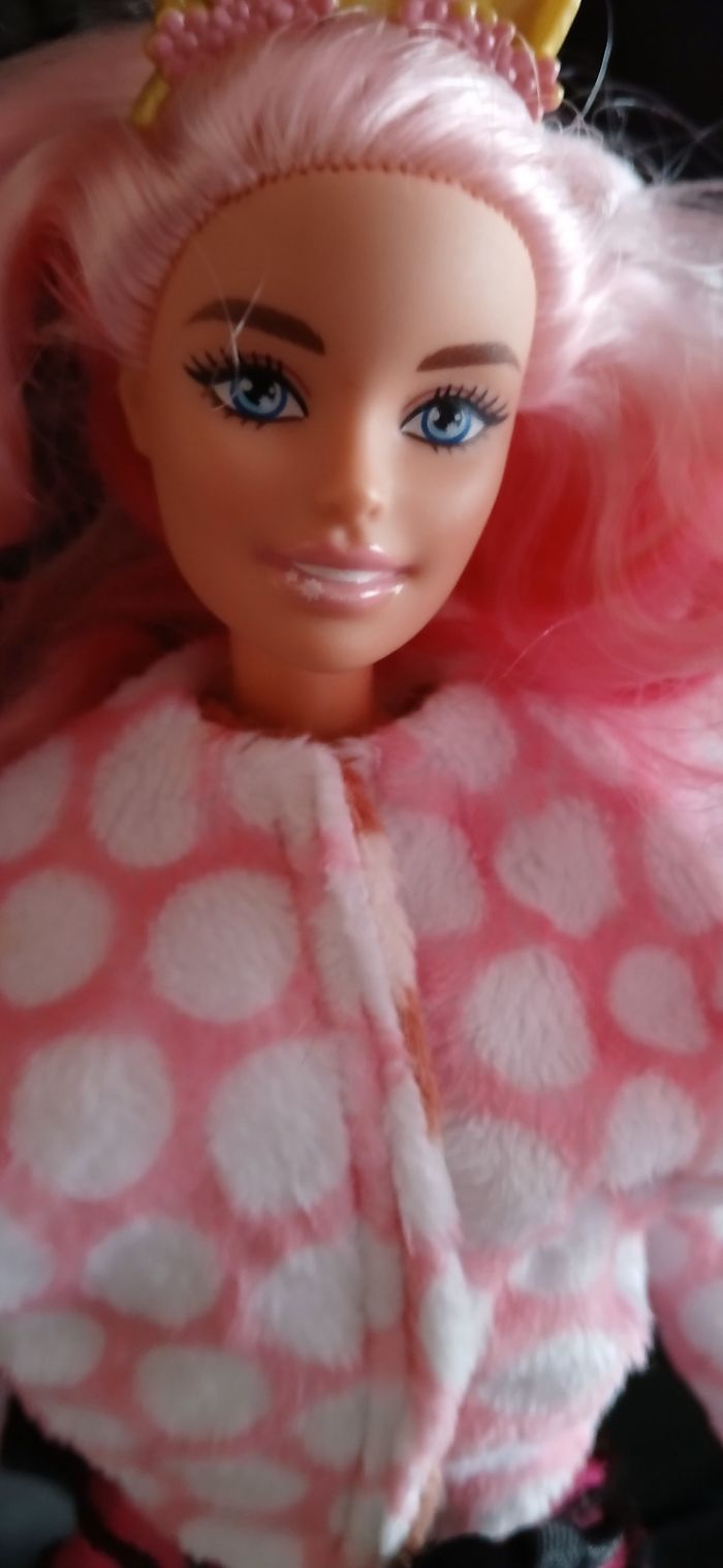 Barbie renne - photo numéro 5