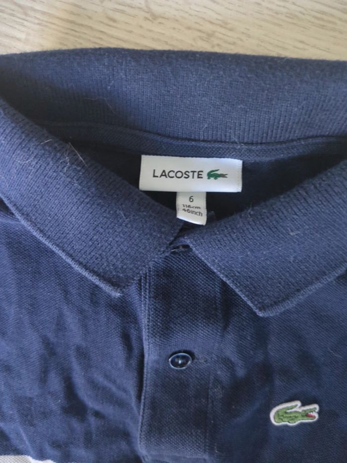 Polo Lacoste 6 ans - photo numéro 2