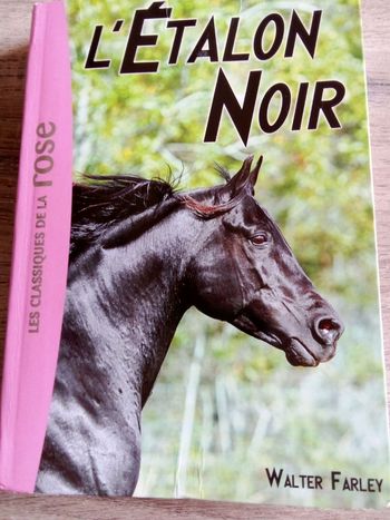 L'etalon noir