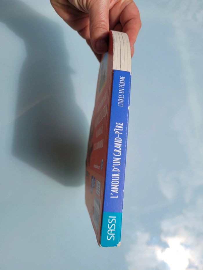 Superbe livre en forme de 🩷 L'Amour d'un grand-père 🐻 - photo numéro 10