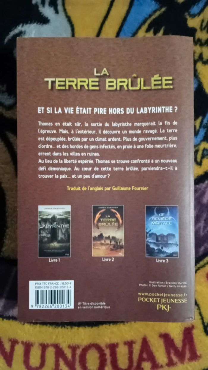 Livre la terre brûlée le labyrinthe - photo numéro 3